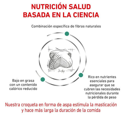 ROYAL CANIN Satiety Weight Management | Alimento dietético completo para perros adultos .  Gabo y Gordo E Shop, la mejor tienda online en las Islas Canarias, España, tienda online para mascotas, perros, gatos, conejos, tortugas, animales, accesorios para mascotas en general. 
Gabo y Gordo E Shop in Canary Islands, the best store for pets, dogs, cats, rabbits, turtles, animals, pet accessories.