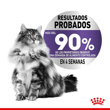 Royal Canin Appetite Control Sterilised pienso para gatos esterilizados Gabo y Gordo E Shop España