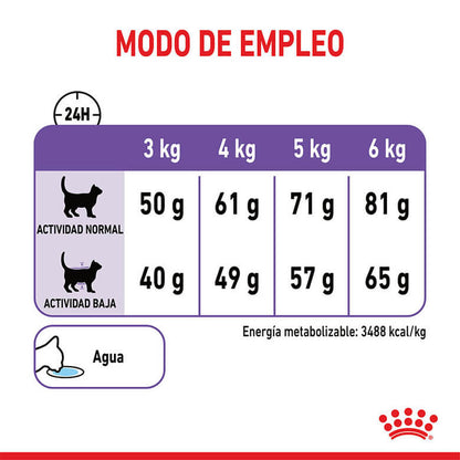 Royal Canin Appetite Control Sterilised pienso para gatos esterilizados Gabo y Gordo E Shop España
