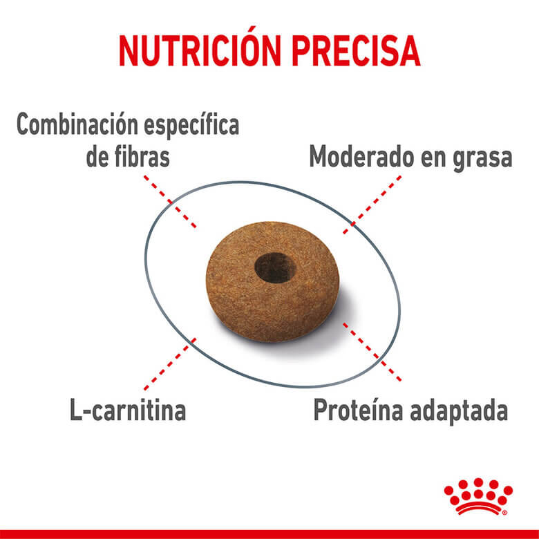 Royal Canin Appetite Control Sterilised pienso para gatos esterilizados Gabo y Gordo E Shop España