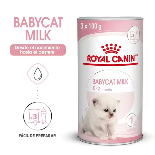 Royal Canin Babycat Milk leche maternizada para gatitos recién nacidos Canarias