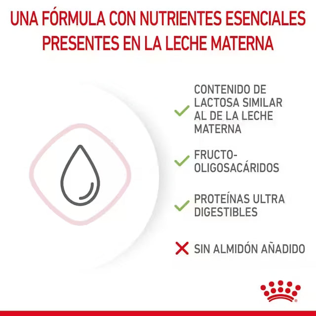 Royal Canin Babycat Milk leche maternizada para gatitos recién nacidos Canarias