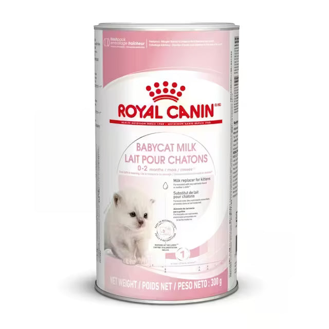 Royal Canin Babycat Milk leche maternizada para gatitos recién nacidos Canarias