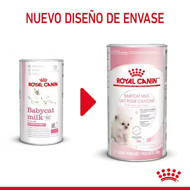 Royal Canin Babycat Milk leche maternizada para gatitos recién nacidos Canarias
