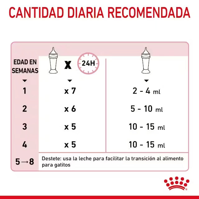 Royal Canin Babycat Milk leche maternizada para gatitos recién nacidos Canarias