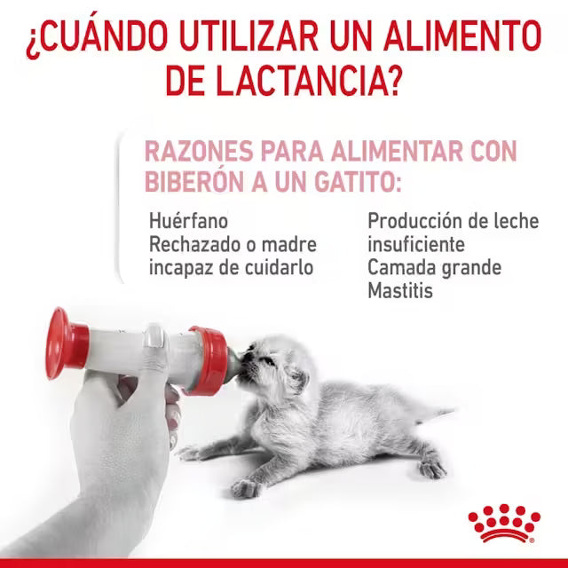 Royal Canin Babycat Milk leche maternizada para gatitos recién nacidos Canarias