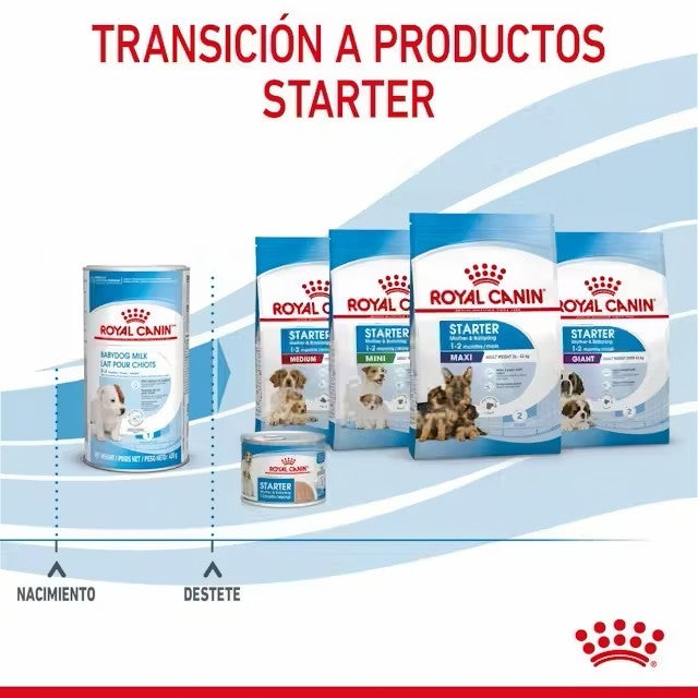 Royal Canin Babydog Milk leche maternizada cachorros 0-2 meses Gabo y Gordo E Shop