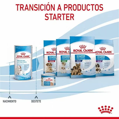Royal Canin Babydog Milk leche maternizada cachorros 0-2 meses Gabo y Gordo E Shop