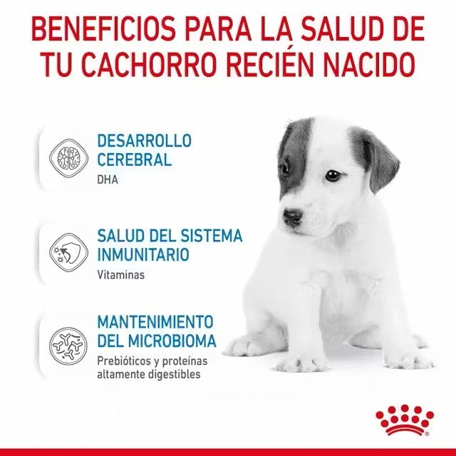 Royal Canin Babydog Milk leche maternizada cachorros 0-2 meses Gabo y Gordo E Shop