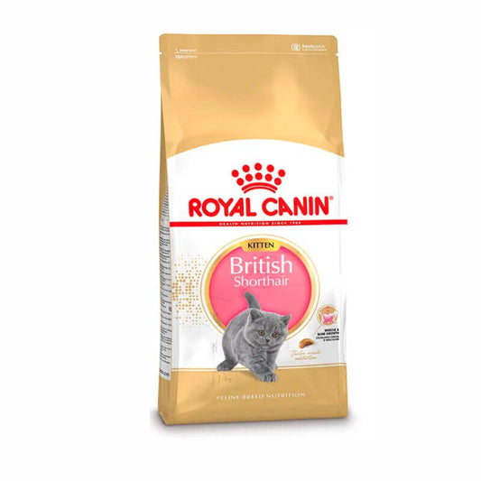 Saco de pienso ROYAL CANIN British Shorthair para gatos adultos de raza