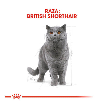 Saco de pienso ROYAL CANIN British Shorthair para gatos adultos de raza