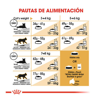 Saco de pienso ROYAL CANIN British Shorthair para gatos adultos de raza