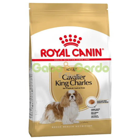 Royal Canin Cavalier King Charles Adult 3 kg pienso perro pequeño Gran Canaria Gabo y Gordo