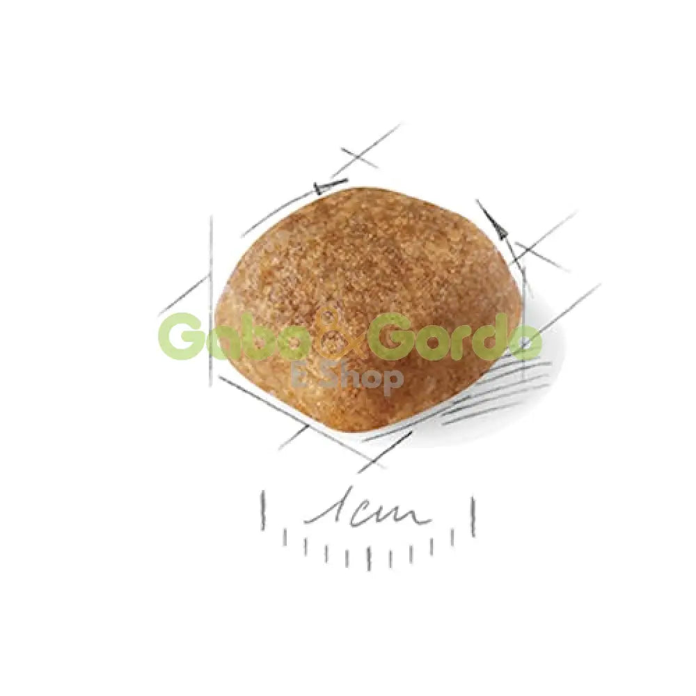 Royal Canin Cavalier King Charles Adult 3 kg pienso perro pequeño Gran Canaria Gabo y Gordo