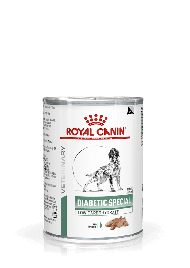 Alimento húmedo Royal Canin Diabetic Special Low Carbohydrate para perros diabéticos, pack 12 latas.