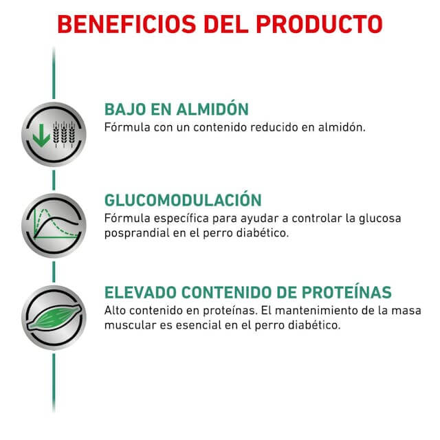 Alimento húmedo Royal Canin Diabetic Special Low Carbohydrate para perros diabéticos, pack 12 latas.