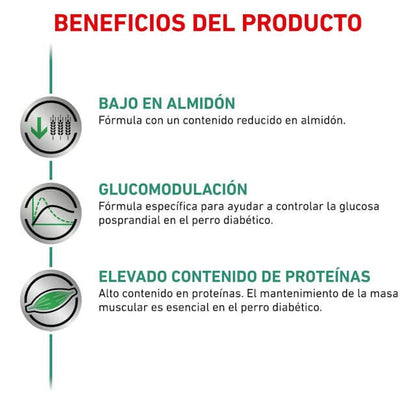 Alimento húmedo Royal Canin Diabetic Special Low Carbohydrate para perros diabéticos, pack 12 latas.