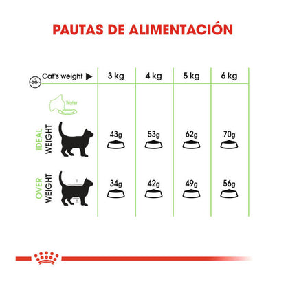 Royal Canin Digestive Care pienso digestivo gatos Gabo y Gordo E Shop Canarias España