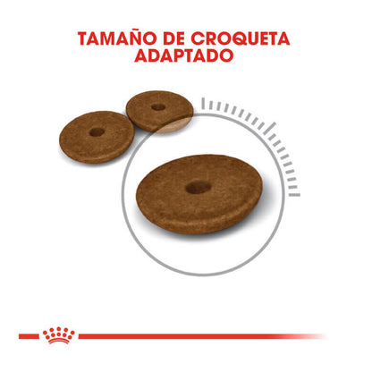 Royal Canin Digestive Care pienso digestivo gatos Gabo y Gordo E Shop Canarias España