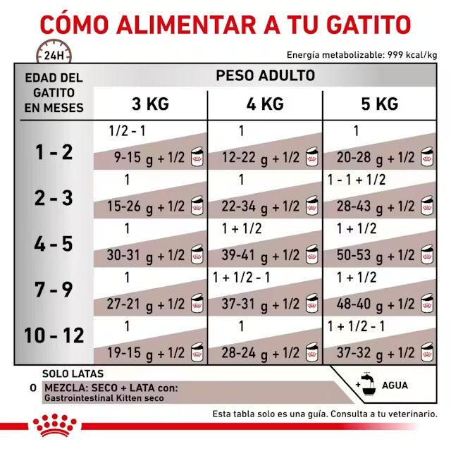 Royal Canin Gastrointestinal Kitten Paté 195 g para gatitos con sensibilidad digestiva, diarrea o recuperación nutricional. Alimento veterinario húmedo de alta digestibilidad para el crecimiento saludable de los gatitos.