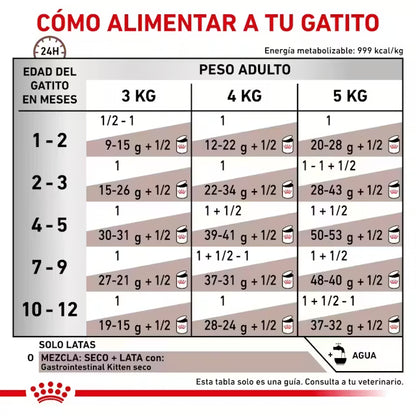 Royal Canin Gastrointestinal Kitten Paté 195 g para gatitos con sensibilidad digestiva, diarrea o recuperación nutricional. Alimento veterinario húmedo de alta digestibilidad para el crecimiento saludable de los gatitos.