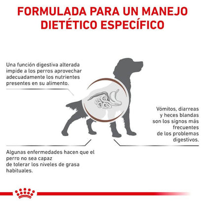 Royal Canin Gastrointestinal Low Fat pienso bajo en grasa para perros Canarias