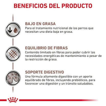 ROYAL CANIN Gastrointestinal Low Fat pienso para perros pequeños con problemas digestivos