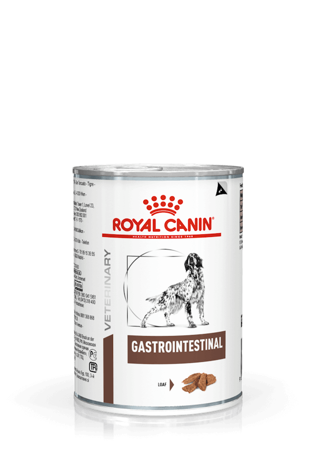 ROYAL CANIN Gastrointestinal Paté pack de 12 latas de 400 g para perros adultos con problemas digestivos y alimentación veterinaria.