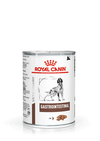 ROYAL CANIN Gastrointestinal Paté pack de 12 latas de 400 g para perros adultos con problemas digestivos y alimentación veterinaria.