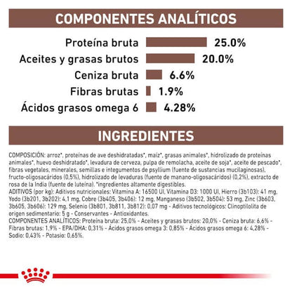 Perro comiendo pienso Royal Canin Gastrointestinal – Alimentación digestiva y veterinaria