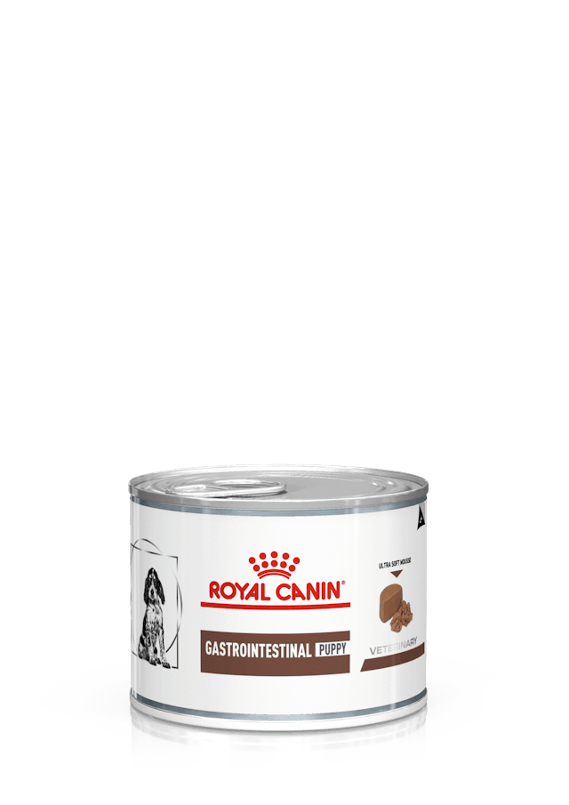 Royal Canin Gastrointestinal Puppy paté veterinario para cachorros