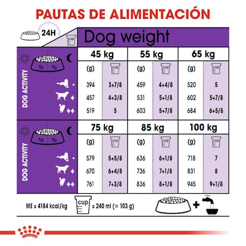 Royal Canin Giant Adult pienso perros gigantes Gabo y Gordo E Shop