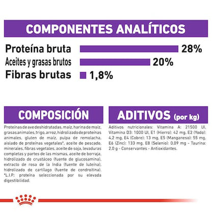 Royal Canin Giant Adult pienso perros gigantes Gabo y Gordo E Shop