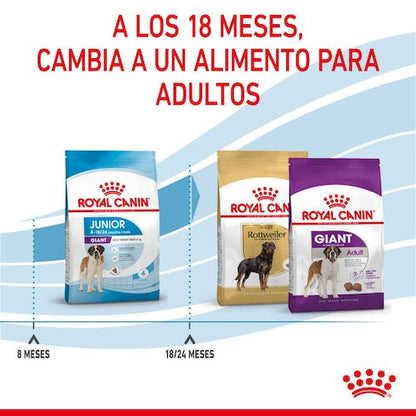 Royal Canin Giant Junior pienso cachorro raza gigante Gabo y Gordo E Shop