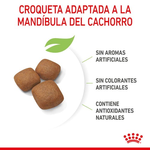 Royal Canin Giant Junior pienso cachorro raza gigante Gabo y Gordo E Shop