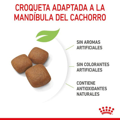 Royal Canin Giant Junior pienso cachorro raza gigante Gabo y Gordo E Shop