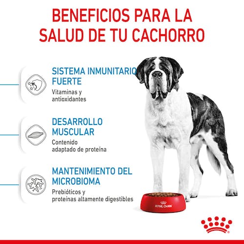 Royal Canin Giant Junior pienso cachorro raza gigante Gabo y Gordo E Shop