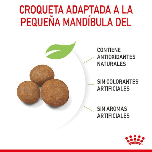 Royal Canin Giant Puppy pienso cachorro raza gigante Gabo y Gordo E Shop