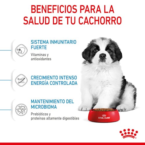 Royal Canin Giant Puppy pienso cachorro raza gigante Gabo y Gordo E Shop