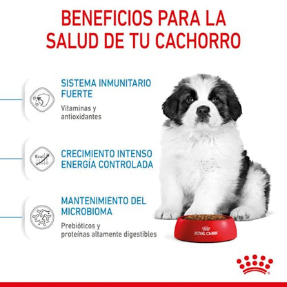 Royal Canin Giant Puppy pienso cachorro raza gigante Gabo y Gordo E Shop