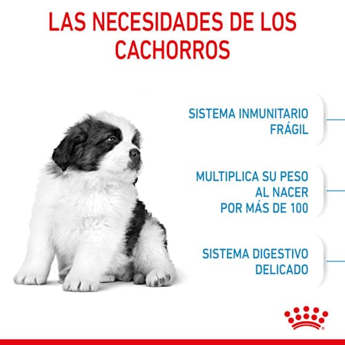 Royal Canin Giant Puppy pienso cachorro raza gigante Gabo y Gordo E Shop