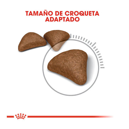 Royal Canin Hairball Care pienso anti bolas de pelo gatos Gabo y Gordo E Shop Canarias España