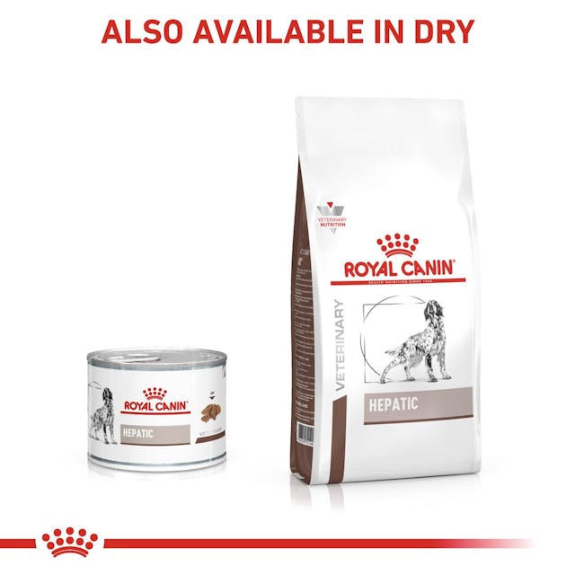 Pack de 12 latas ROYAL CANIN Hepatic paté para perros con problemas hepáticos