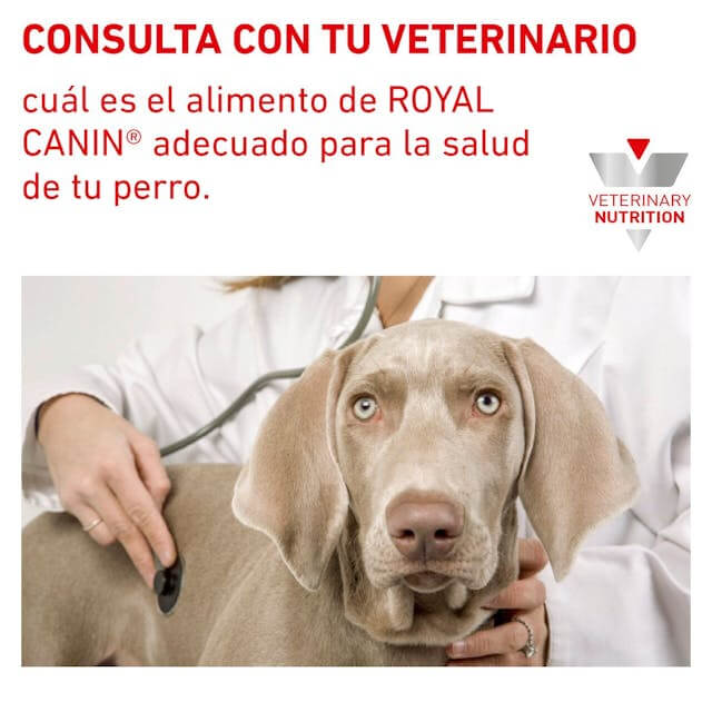 Pack de 12 latas ROYAL CANIN Hepatic paté para perros con problemas hepáticos