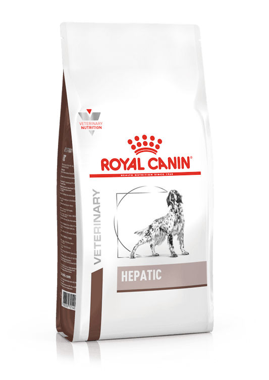 Perro comiendo pienso ROYAL CANIN Hepatic – Apoyo nutricional para el hígado
