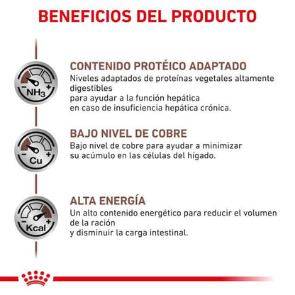 Perro comiendo pienso ROYAL CANIN Hepatic – Apoyo nutricional para el hígado