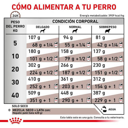 Perro comiendo pienso ROYAL CANIN Hepatic – Apoyo nutricional para el hígado