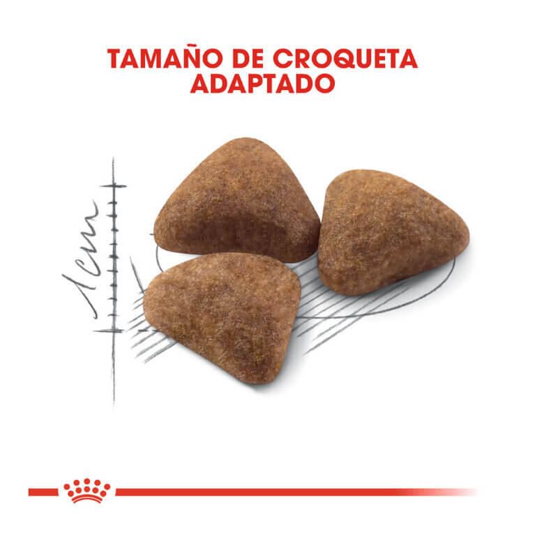 Royal Canin Indoor 27 pienso para gatos adultos de interior.