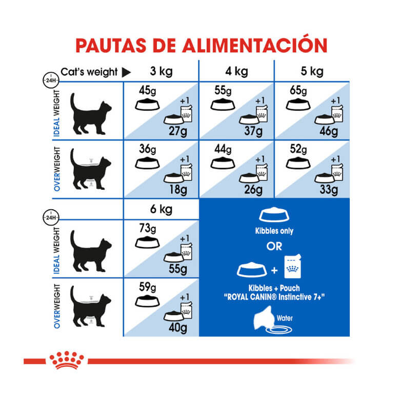 Royal Canin Indoor +7 pienso para gatos senior de interior.
