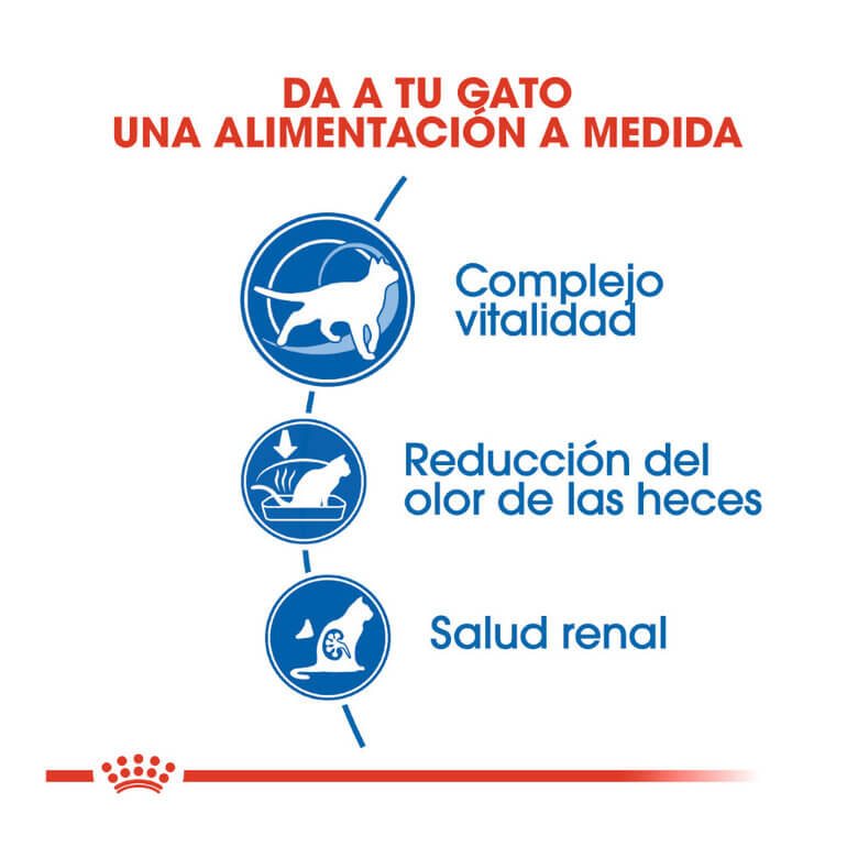 Royal Canin Indoor +7 pienso para gatos senior de interior.